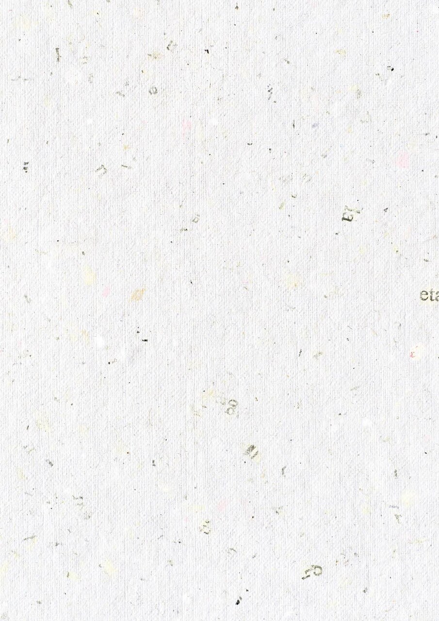 Studio Light BG Paper 170gr Celebrate New Beginnings 210x297mm nr.337